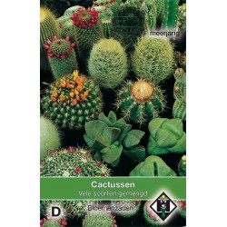 Cactusmengsel   -seeds-