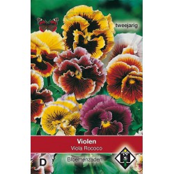 Viola x wittrockiana...