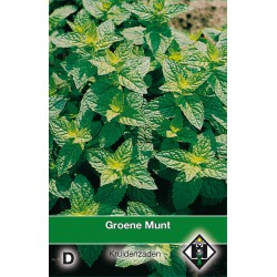 Groene Munt / Mentha   -seeds-