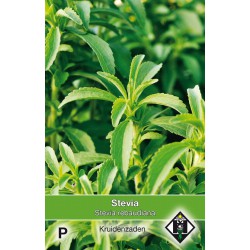 Stevia   -seeds-