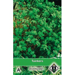 Tuinkers / Lepidium    -seeds-