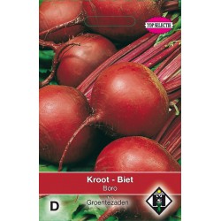 Biet - Kroot, Beta vulgaris...