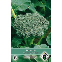 Broccoli, Brassica oleracea...