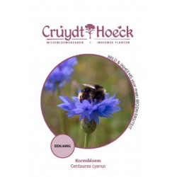 Korenbloem - Centaurea cyanus