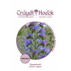 Slangenkruid - Echium vulgare